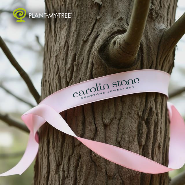 Our Sustainable Responsibility