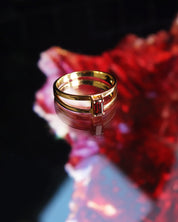 Imaginative Ring Garnet Gold
